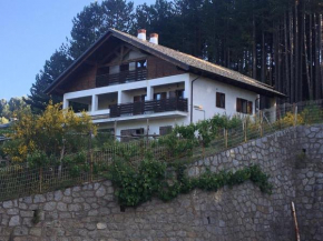 Tra il bosco e il lago Lorica